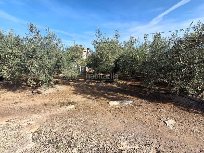 Foto 9bb069d4-dc3d-47a8-a45c-ca82043e028e. Haus in de les codines de coleto 156 in Jesús - Els Reguers Tortosa