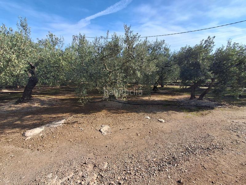 Foto c993b278-91de-4a8b-8fe5-2b46c92584c7. Haus in de les codines de coleto 156 in Jesús - Els Reguers Tortosa
