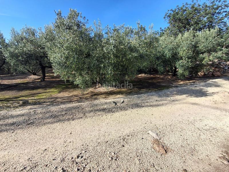 Foto ee967303-1531-4581-b6ba-0b32bce56861. Haus in de les codines de coleto 156 in Jesús - Els Reguers Tortosa