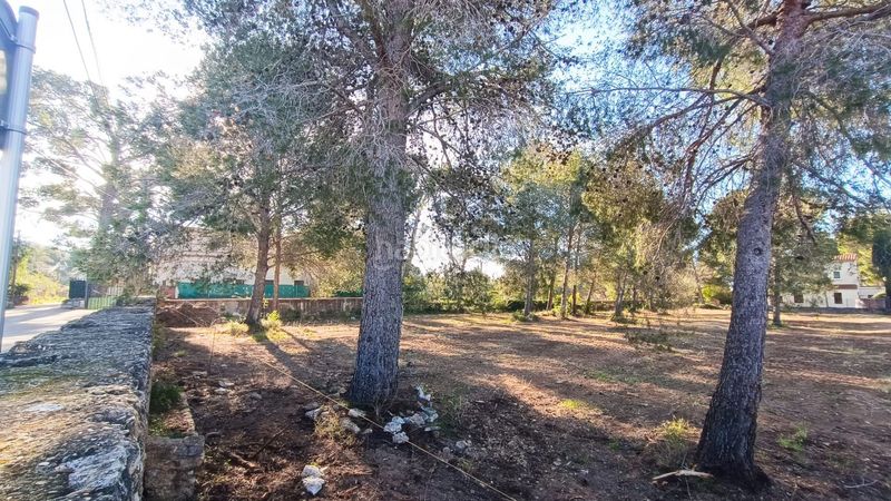 Foto d05e3685-7084-4e66-ac62-4f2c1b32ee54. Terreny residencial a Urbanitzacions Tortosa