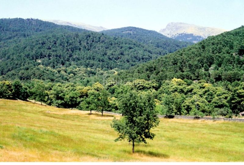 Foto b7f7952e-4a26-4b46-8915-cfb482a137cb. Chalet en Adrada (La)