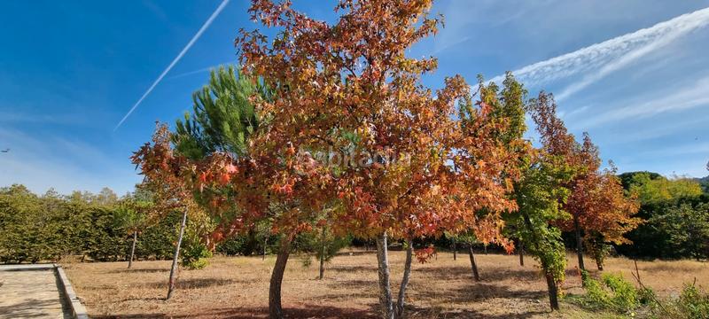 Foto 9e482a11-a104-42e0-a599-29e1d3d0775f. Chalet en Polideportivo-Colonia Moralzarzal