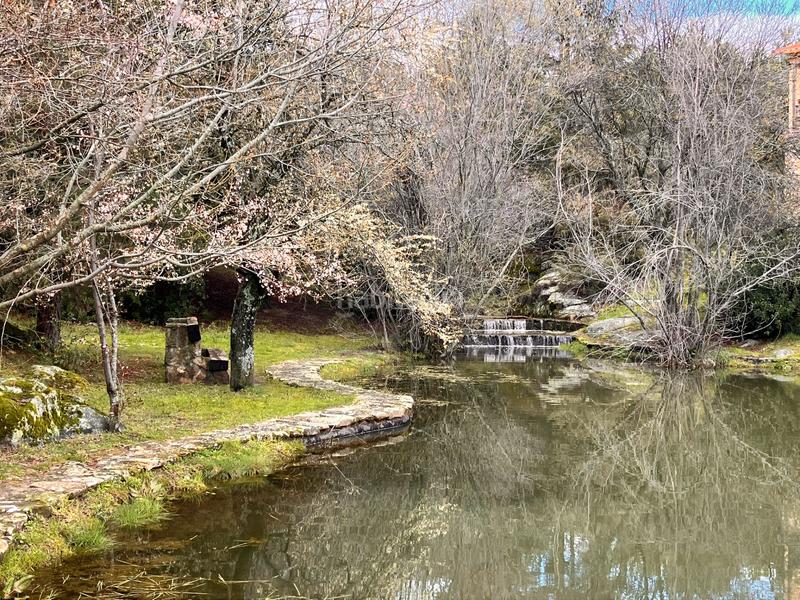 Foto 2d643586-2ec4-4a58-b0cd-a637f037d386. Chalet en Mataelpino