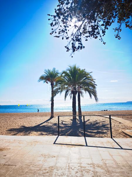 Foto 67f41894-4e1e-4874-b80c-a5df34d68b9c. Appartamento in avenida del padre esplá 70 in Pla de Bon Repós Alicante