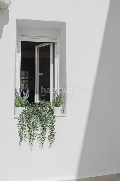 Foto 896d88c1-6953-4348-bb6c-a8eb28e327d9. Planta baixa amb calefacció a Ibiza Madrid