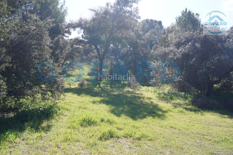 Foto ce4857ce-2f42-4671-91fb-773ff7a1376c. Terreno residencial en El Bosque Villaviciosa de Odón