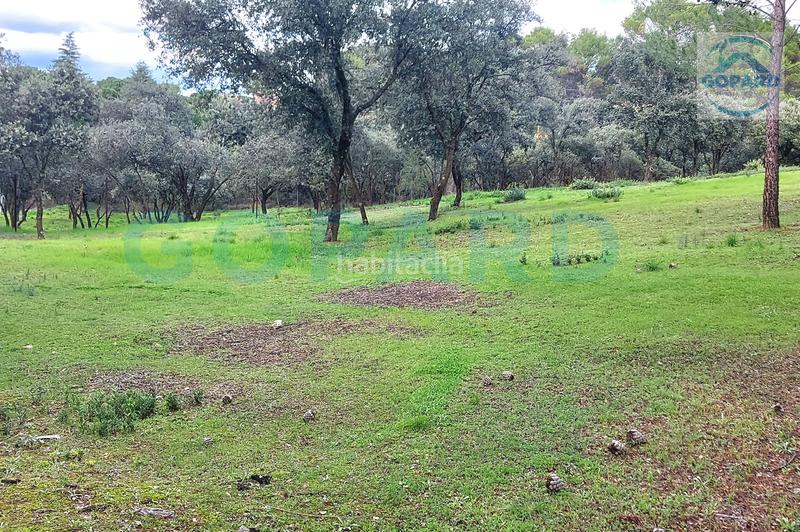Foto 76d768bc-e317-4579-9daa-4430205828d2. Terreno residenziale in El Bosque Villaviciosa de Odón