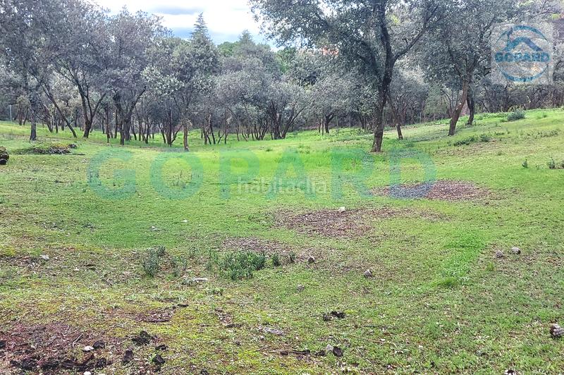 Foto afd58443-466a-4145-b2e3-0ec152604339. Terreno residenziale in El Bosque Villaviciosa de Odón