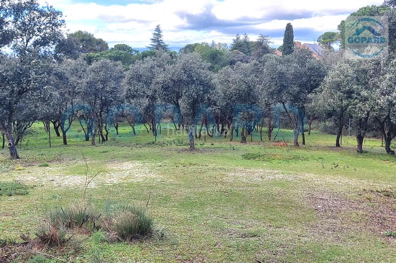 Foto b271d994-c415-4ec8-bd15-96530ec6d628. Terreno residenziale in El Bosque Villaviciosa de Odón