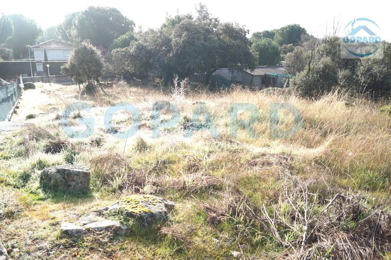 Foto 01951475-70ad-4067-a5ce-3e52294cfd91. Wohngrundstück in Cerro Alarcón Valdemorillo