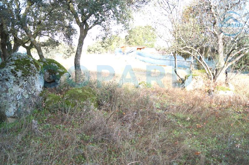 Foto 5fd91c46-ca6e-455a-8e41-b7ae8fee7591. Wohngrundstück in Cerro Alarcón Valdemorillo