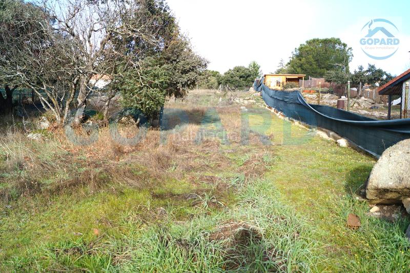 Foto e7cb83bb-dbd9-4024-9888-a6631302d696. Wohngrundstück in Cerro Alarcón Valdemorillo