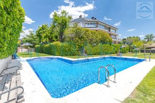 Lloguer Dúplex a Golf-El Carralero. Inmobiliaria gopard presenta un bonito bajo con gran jardín.