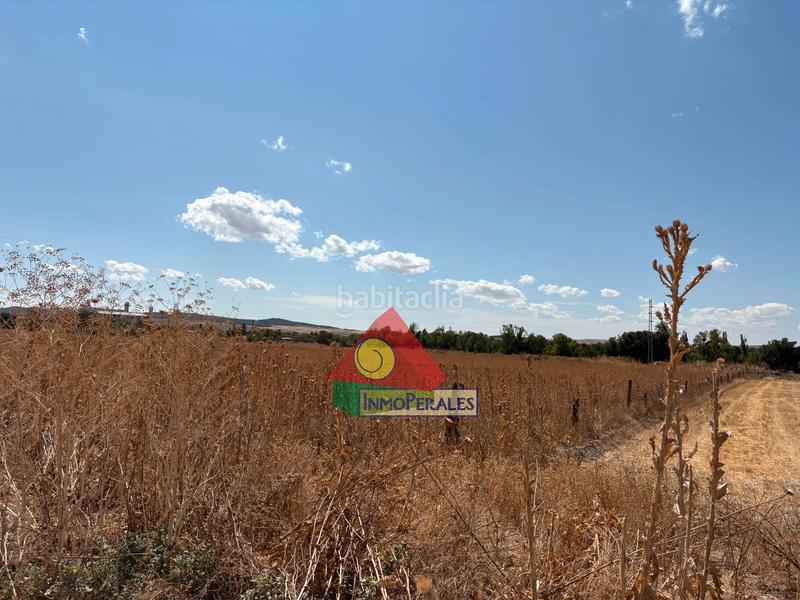 Foto 048fc687-dec3-422f-b9b9-b911e812dddd. Finca rústica a carretera cañada real 213 a Perales del Río Getafe