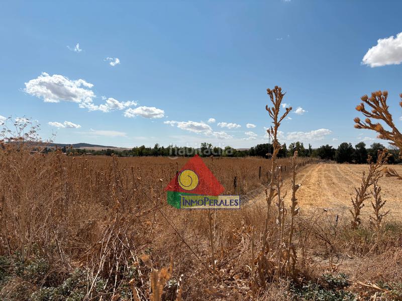 Foto 22e44764-b650-4862-9cd0-1bba506b0267. Finca rústica a carretera cañada real 213 a Perales del Río Getafe