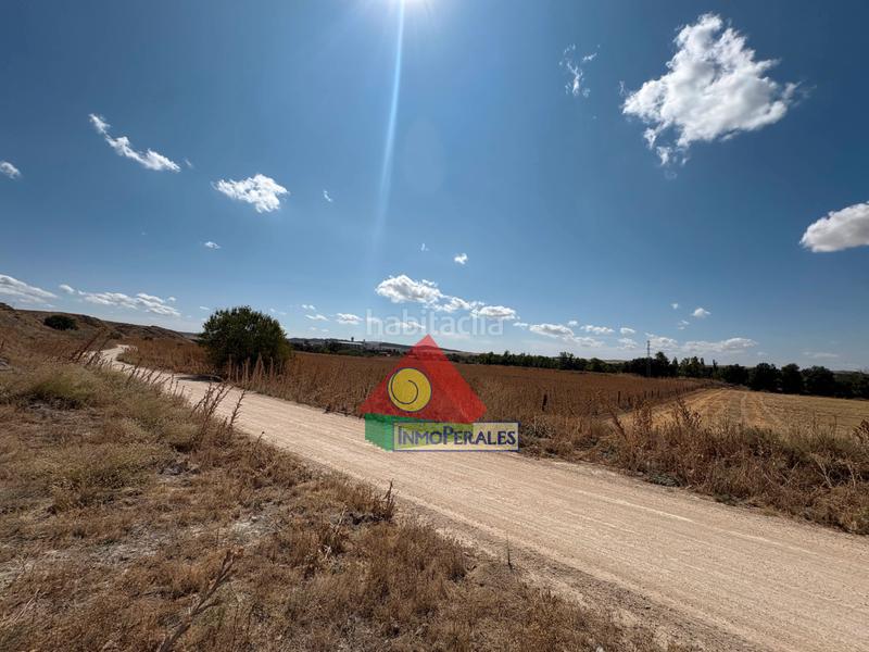 Foto 8762b5a6-51b3-413f-89e4-777647ddbf35. Finca rústica a carretera cañada real 213 a Perales del Río Getafe