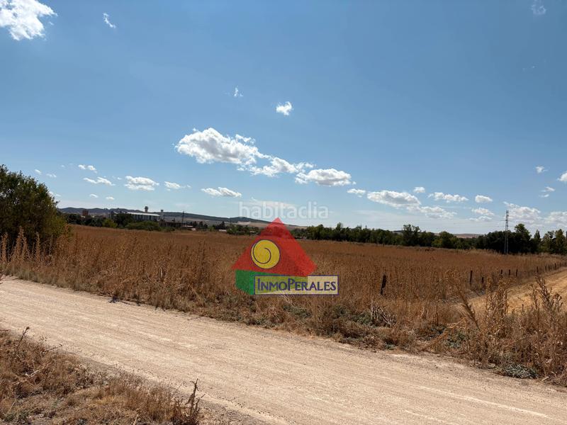 Foto 886b0d9f-9af2-454a-8c82-22bc7581e10b. Finca rústica a carretera cañada real 213 a Perales del Río Getafe