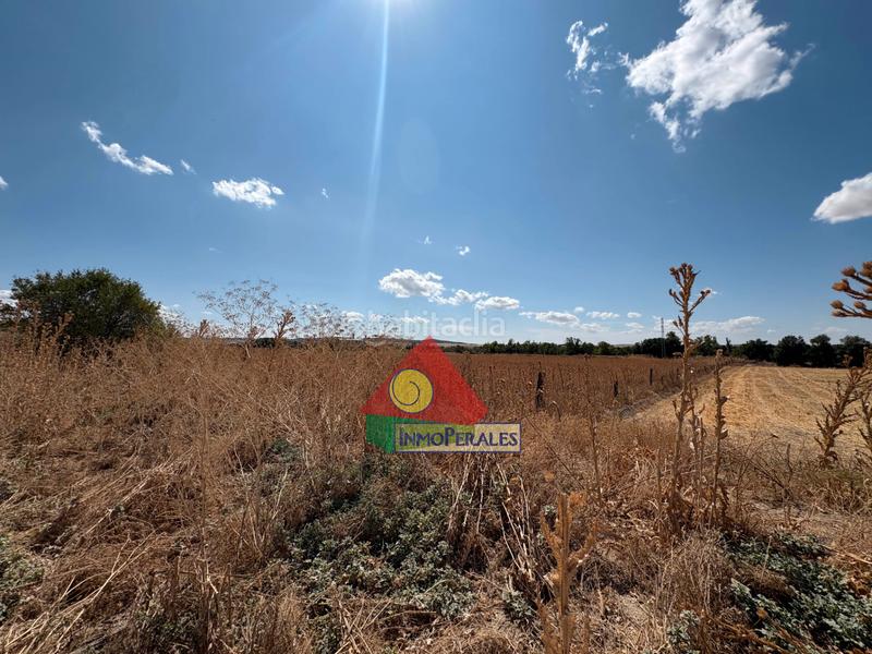 Foto e14f03e8-aa39-49ac-a083-c4ebb9d5904d. Finca rústica a carretera cañada real 213 a Perales del Río Getafe