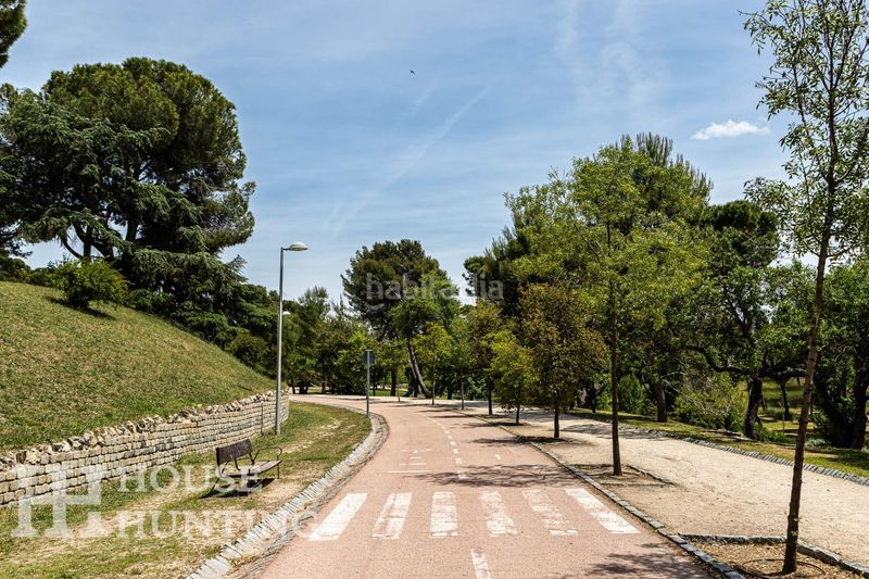 Foto 1fb0a567-e626-4038-b7df-bdb59a8f311c. Piso en Berruguete Madrid
