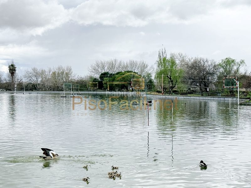 Foto 33039425-7888-4a74-9967-61d7c22f4696. Xalet amb calefacció aparcament piscina a Parla este Parla