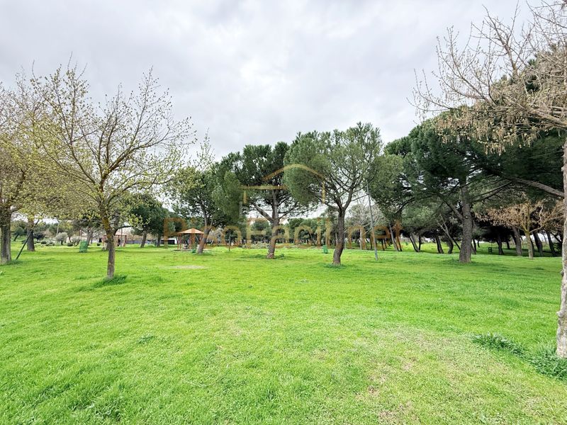 Foto 7fcadc66-0c4b-484e-b0aa-4d272a1804c1. Xalet amb calefacció aparcament piscina a Parla este Parla