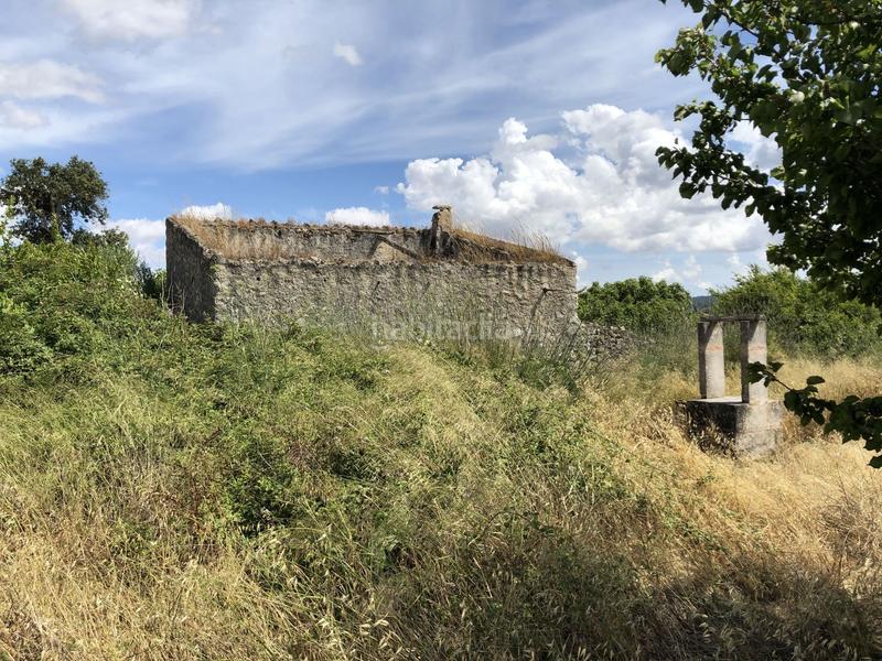 Foto 869892ae-896a-40a3-8ca1-d18814d47182. Finca rústica a Montuïri