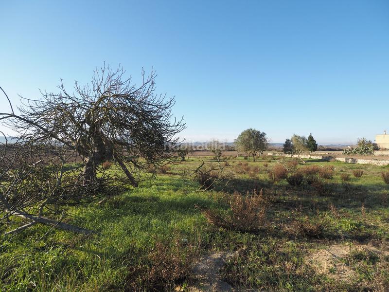 Foto 98de4da8-b049-4d70-b932-c77374cb6ac1. Finca rústica a Montuïri