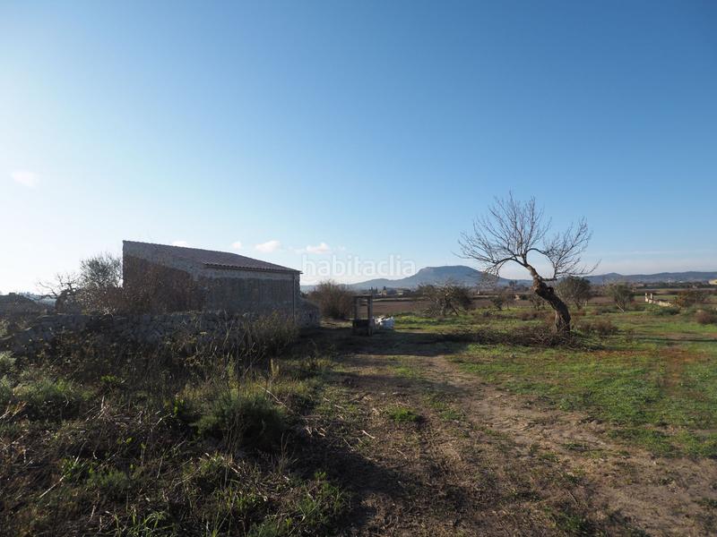 Foto 9af9d40a-50d3-4eab-aea2-8df01f8030ce. Finca rústica a Montuïri