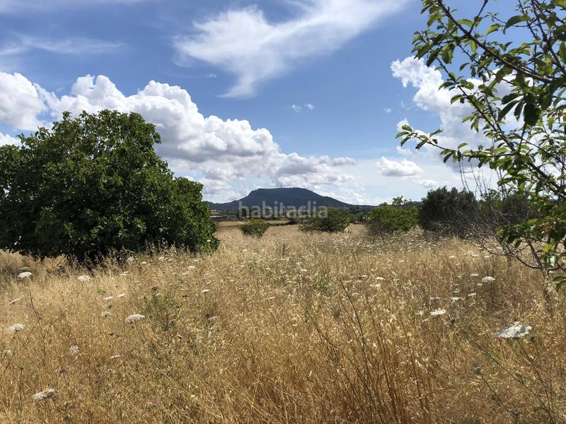 Foto 9c797076-3c2d-406e-aa00-d8432697d35b. Finca rústica a Montuïri