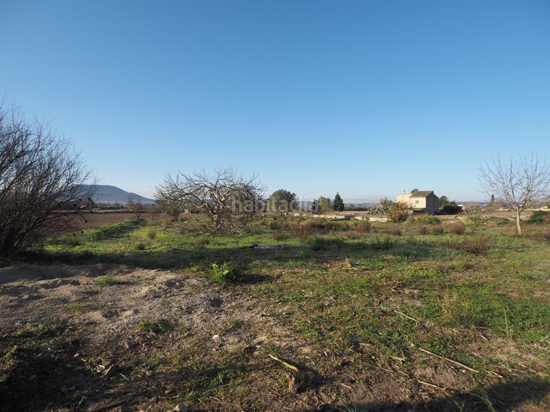 Foto d5c8ede2-8346-4eaf-983d-c0bcbd29a44e. Finca rústica a Montuïri