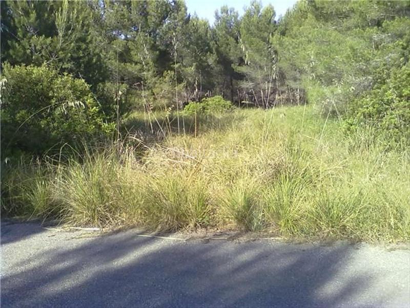 Foto 0dcb8f39-f12c-4cd5-b6be-16c480101fdb. Terreno residenziale in Betlem Artà