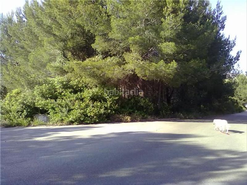 Foto 3a5f33b7-5a2c-4027-9621-246d4691d765. Terreno residenziale in Betlem Artà