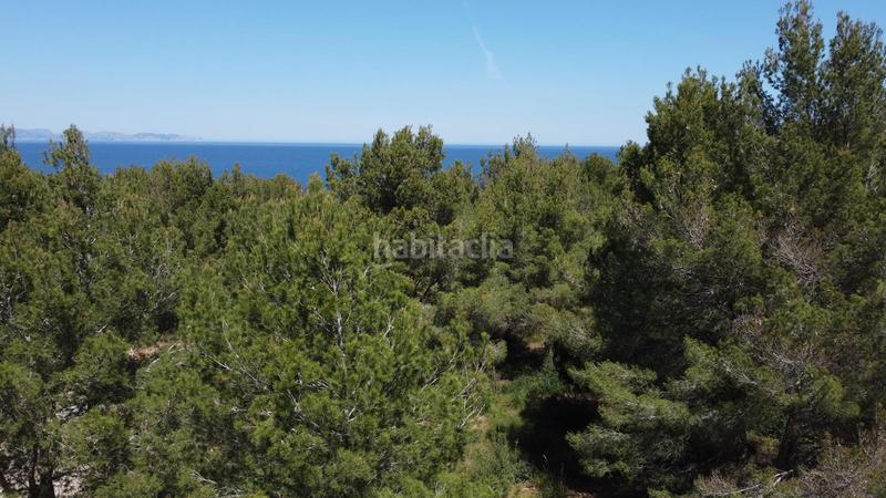 Foto 6af50363-a18b-4788-9a9f-36ca95392e36. Terreno residenziale in Betlem Artà