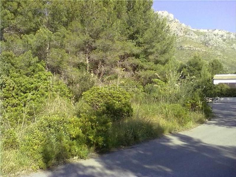 Foto a060f3ca-5f13-4cfa-92c0-70c9bf9c07b4. Terreno residenziale in Betlem Artà