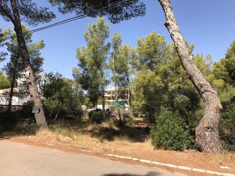 Foto 1cc18596-ae5b-496e-9794-a7e824048ea2. Terreny residencial a Betlem Artà