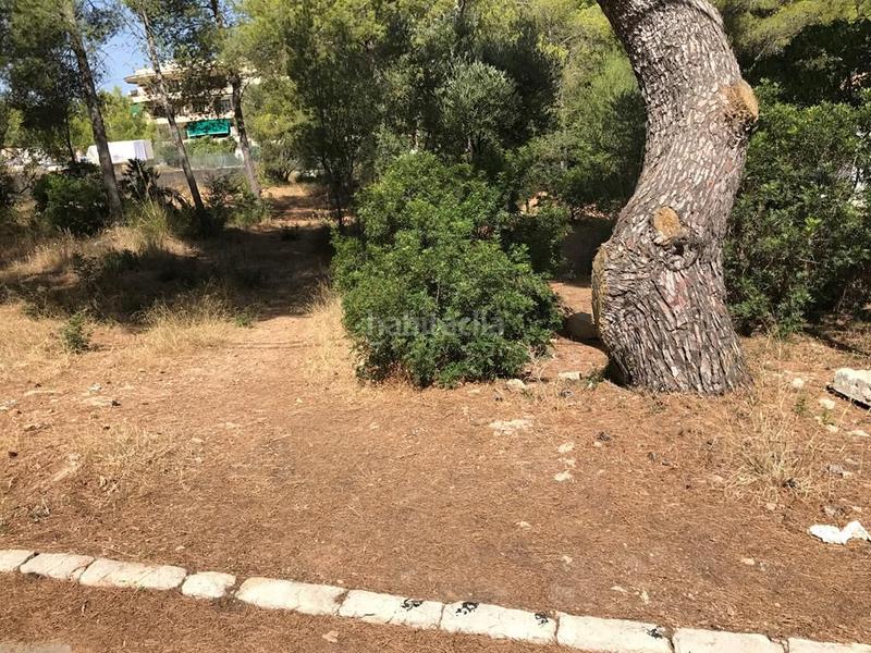 Foto 23ca4232-dd04-4faf-afd3-29a0c929a33e. Terreny residencial a Betlem Artà