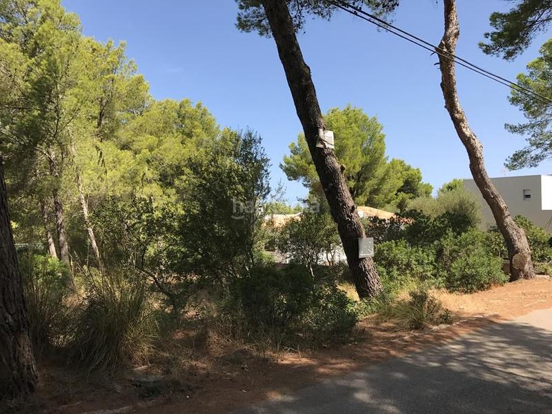 Foto 548c912e-6eff-4a74-88f9-5c18c82c5662. Terreny residencial a Betlem Artà