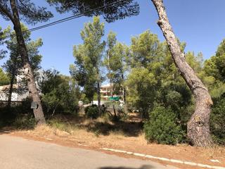 Residential Plot in Betlem. Solar en venta en betlem
