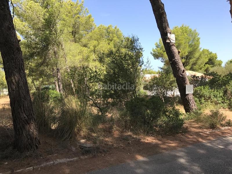 Foto fcedd247-efde-4f06-b576-18c98133f110. Terreny residencial a Betlem Artà