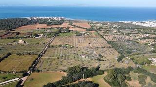 Country house in Artà Poble. Finca rústica en colònia de sant pere