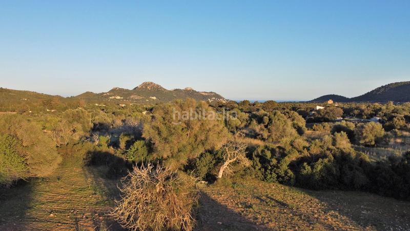 Foto 13dd70bd-1b49-4f76-a1b1-3a61e5defe6a. Residential plot in Canyamel Capdepera