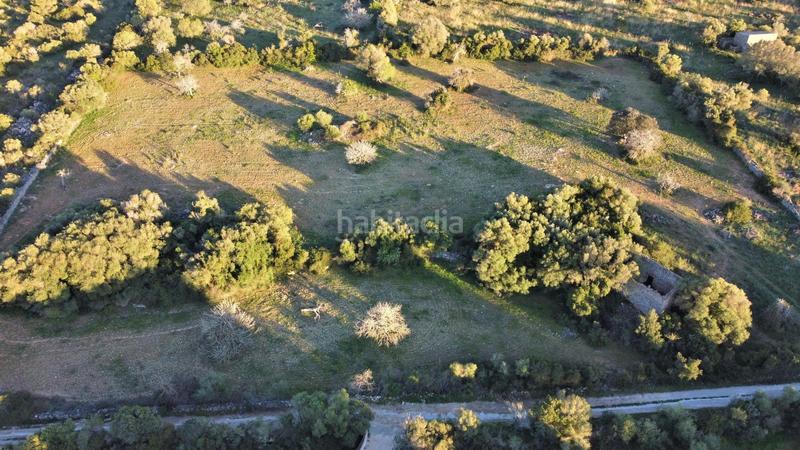 Foto 1b08cbe5-acbf-4998-8c1c-7a5b30fff15b. Residential plot in Canyamel Capdepera