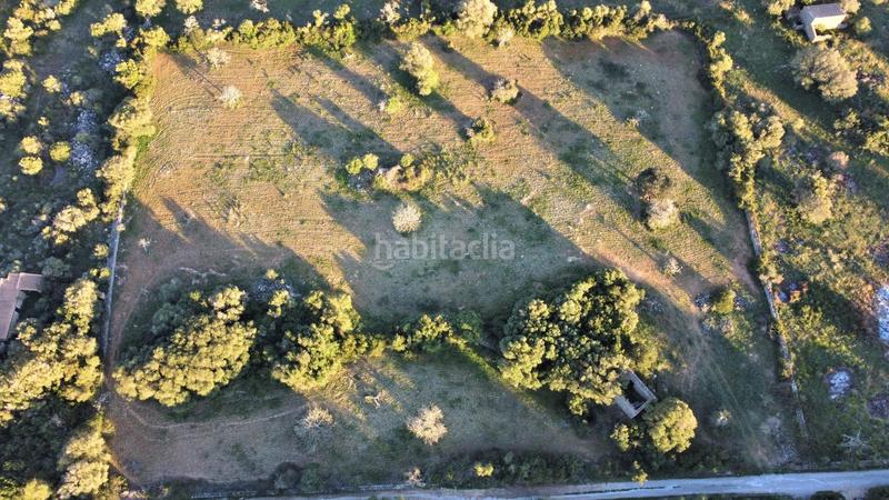 Foto 31948110-2149-4571-9586-c1382c7cc511. Residential plot in Canyamel Capdepera