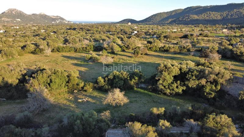 Foto 68435dc8-4389-4a3e-b9fc-6f6e0a2e99c2. Residential plot in Canyamel Capdepera