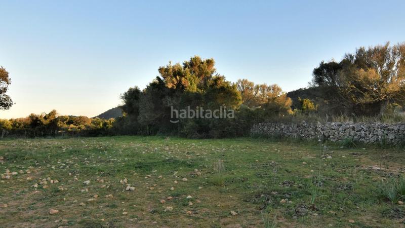 Foto 6af7953a-4955-4c20-889a-de86ff123e1c. Residential plot in Canyamel Capdepera