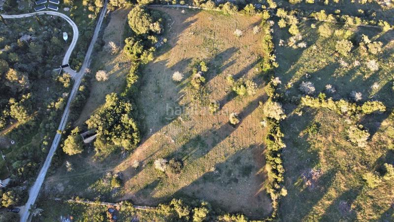 Foto 7d343cba-f7c0-48ec-a387-6c9850a79013. Residential plot in Canyamel Capdepera