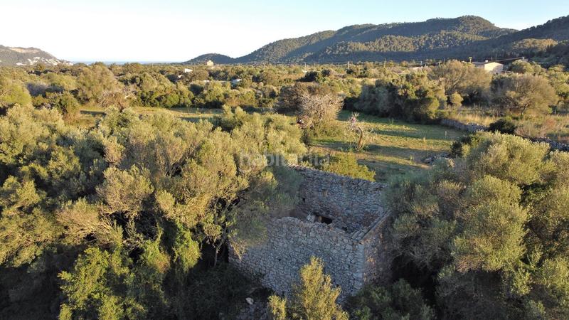 Foto d8300868-3d57-4be5-bc62-b9140750adb9. Residential plot in Canyamel Capdepera