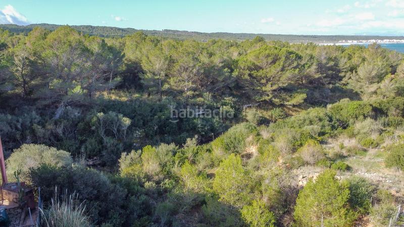 Foto 00bfad84-0298-4dce-bdb4-6bc38227a952. Terreno residencial conjunto de solares en sestanyol en Artà
