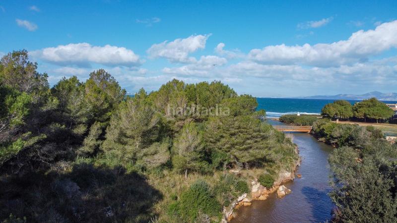 Foto d674062f-cc01-404e-84c9-6aaf0573bb80. Terreno residencial conjunto de solares en sestanyol en Artà
