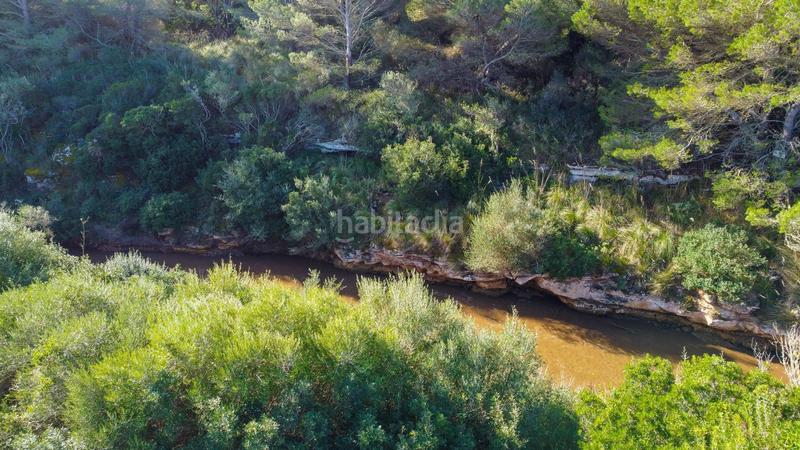 Foto f0ca4924-0e25-47e2-a424-ee17972280d3. Terreno residencial conjunto de solares en sestanyol en Artà